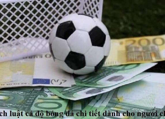 giai-thich-luat-ca-do-bong-da-chi-tiet-danh-cho-nguoi-choi-moi